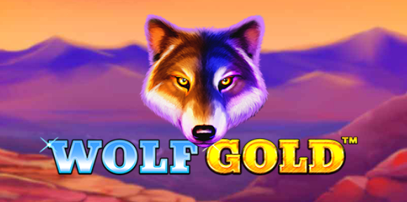 Gặp gỡ động vật hoang dã trong Wolf Gold 2024