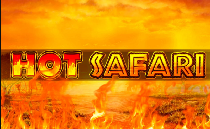 Khám phá thế giới hoang dã trong Hot Safari 2024