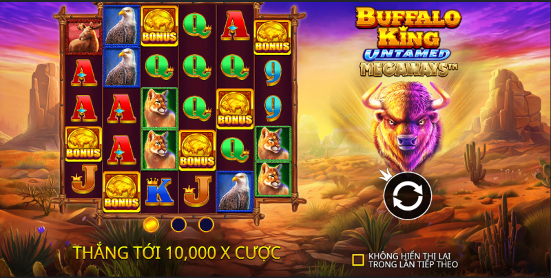 3+ mẹo quay Buffalo King Untamed Megaways hay