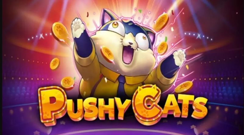 Bước vào thế giới mèo Pushy Cats 2024