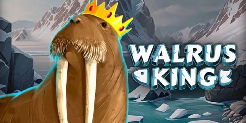 Khám phá Bắc cực trong slot Walrus King 2024